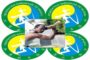 Jeux paralympiques/David Moukagni Moukagni éliminé aux 100m