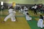 Judo-Estuaire/Une compétition de mini judo pour la promotion de la discipline