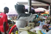 10km de POG/La mascotte en super show dans les rues et marchés de Port-Gentil