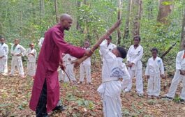 Arts martiaux/Une autre façon de former nos enfants