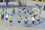 Handball-Can 2024/Les Panthères ratent leur première sortie face à l’Algérie
