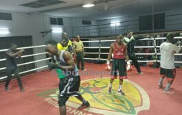Boxe-Estuaire/La ligue se prépare pour un autre gala de boxe contre celle de l'Ogooué-Maritime