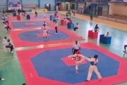 Taekwondo-Challenge Me Park/Le gymnase du prytanée militaire en effervescence ce vendredi !