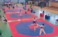 Taekwondo-Challenge Me Park/Le gymnase du prytanée militaire en effervescence ce vendredi !