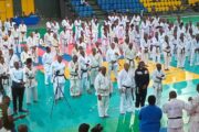 Arts martiaux/L'AGAM lance sa saison sportive avec un invité de marque