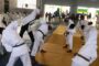 Judo/Judo Club EPI de Libreville survole le tournoi de début de saison