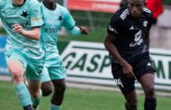 Échos des Panthères/Pré-saison: plusieurs Panthères à pied d'œuvre avec leurs clubs