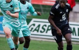 Échos des Panthères/Pré-saison: plusieurs Panthères à pied d'œuvre avec leurs clubs