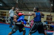 Boxe-Estuaire/Le président Gabriel Abessolo et les siens offrent 11 combats au public