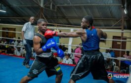 Boxe-Estuaire/Le président Gabriel Abessolo et les siens offrent 11 combats au public