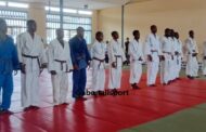 Judo/Trois sur seize judokas valident leur passage de 1re dan