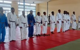 Judo/Trois sur seize judokas valident leur passage de 1re dan