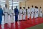 Judo/Trois sur seize judokas valident leur passage de 1re dan