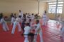 Judo/Repenser le judo gabonais, c’est possible et c’est imminent !
