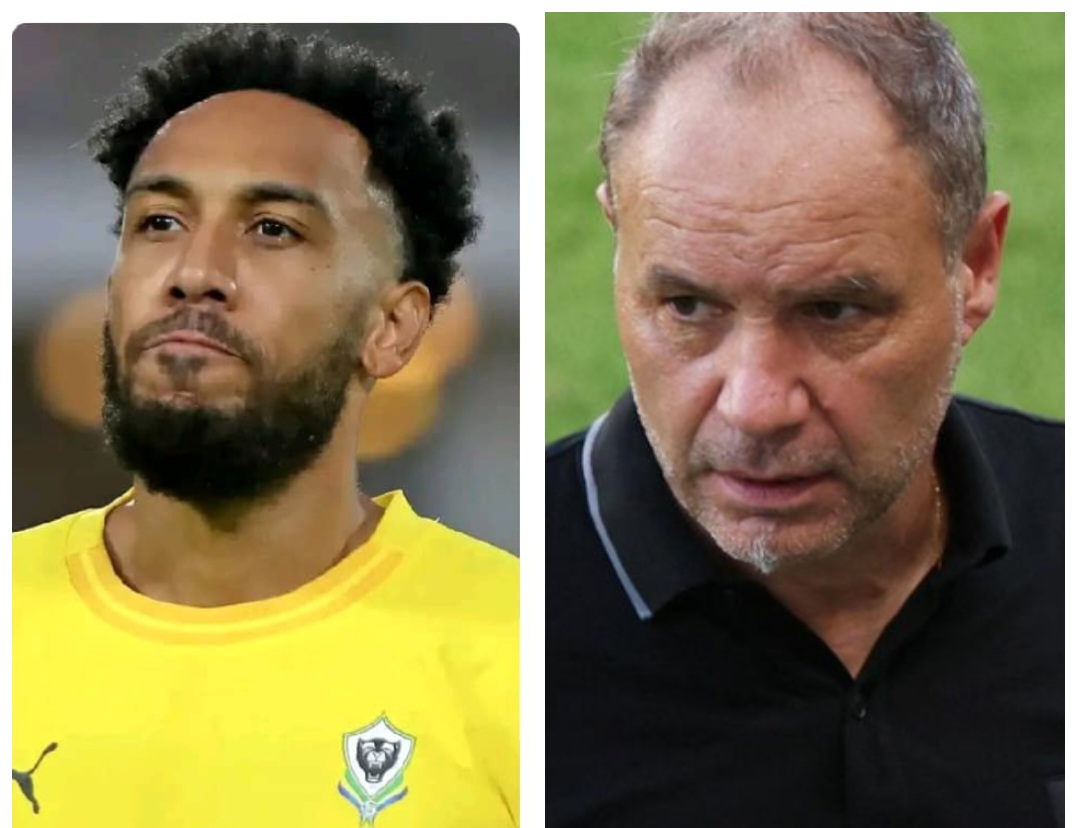 Panthères/Sébastien Migné écrit à Aubameyang